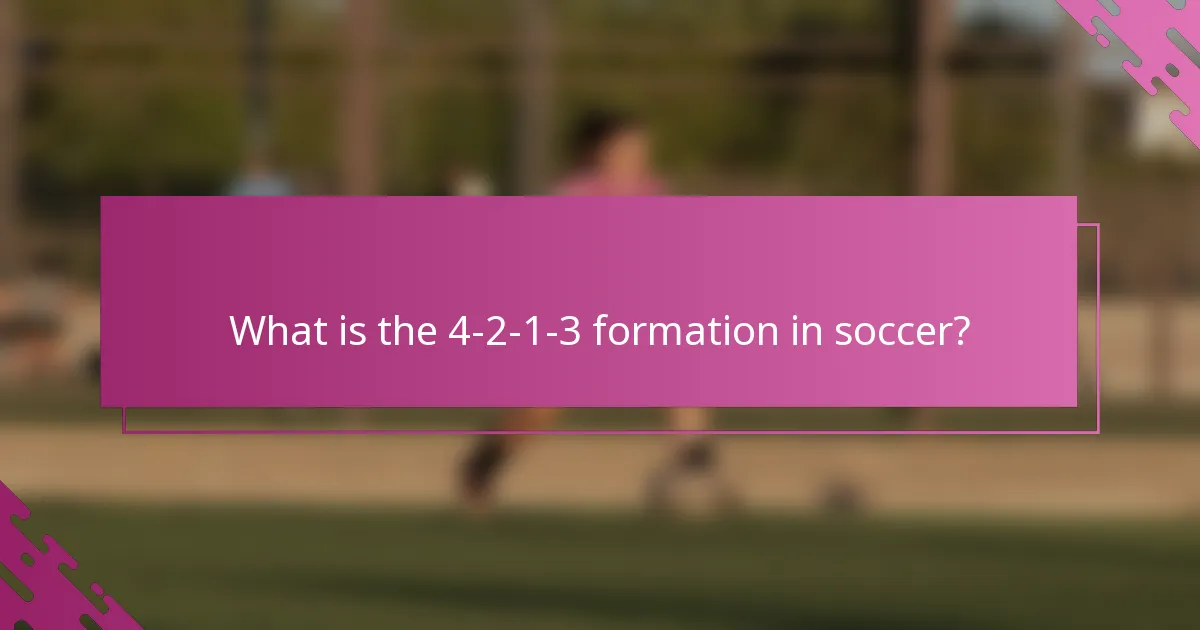 What is the 4-2-1-3 formation in soccer?