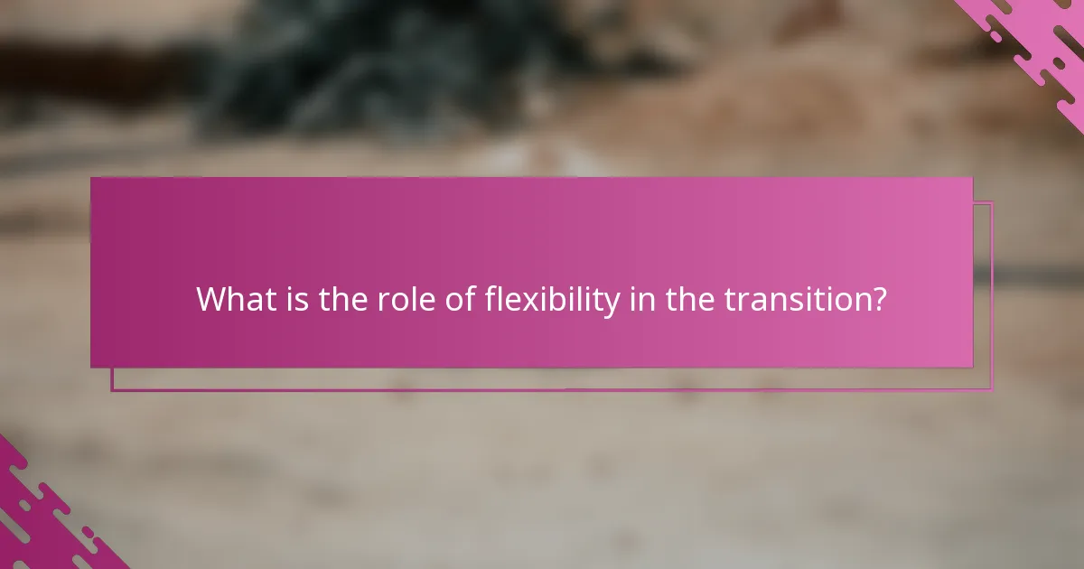 What is the role of flexibility in the transition?