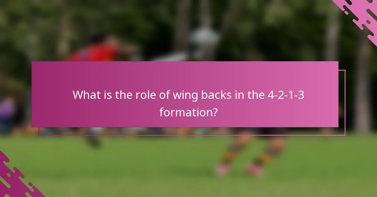 What is the role of wing backs in the 4-2-1-3 formation?