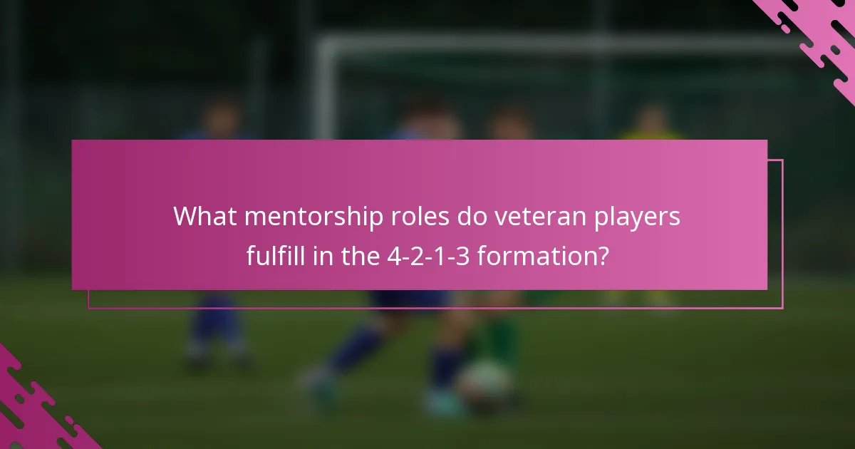 What mentorship roles do veteran players fulfill in the 4-2-1-3 formation?