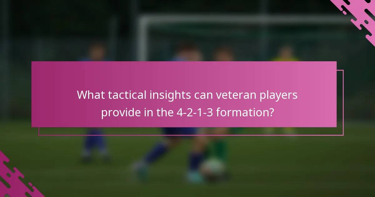 What tactical insights can veteran players provide in the 4-2-1-3 formation?